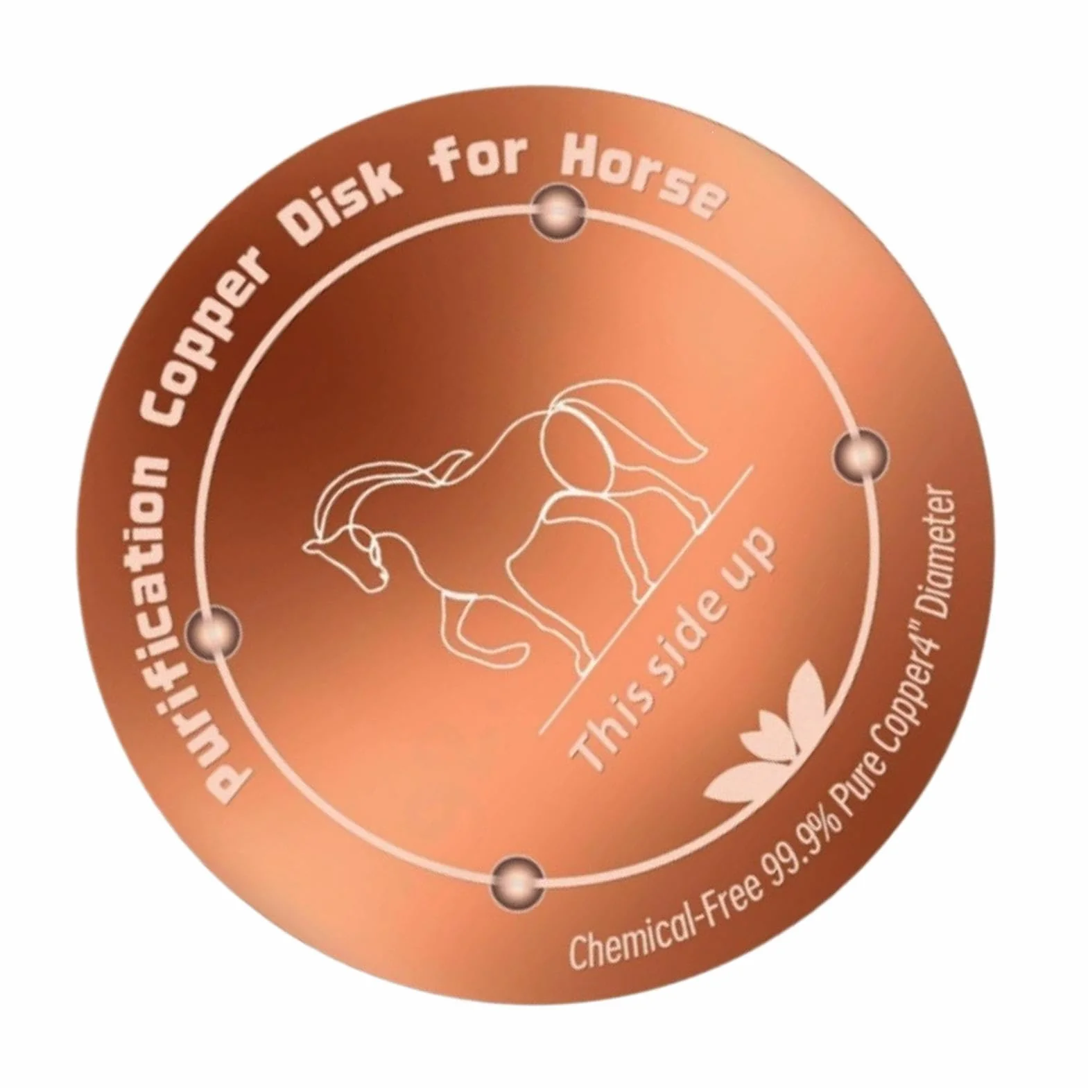 Disque en cuivre pour eau potable - Nettoyage Physique Résistant Aux Intempéries, Purification pour Abreuvoir Chevaux, Bains d'oiseaux, Piscine