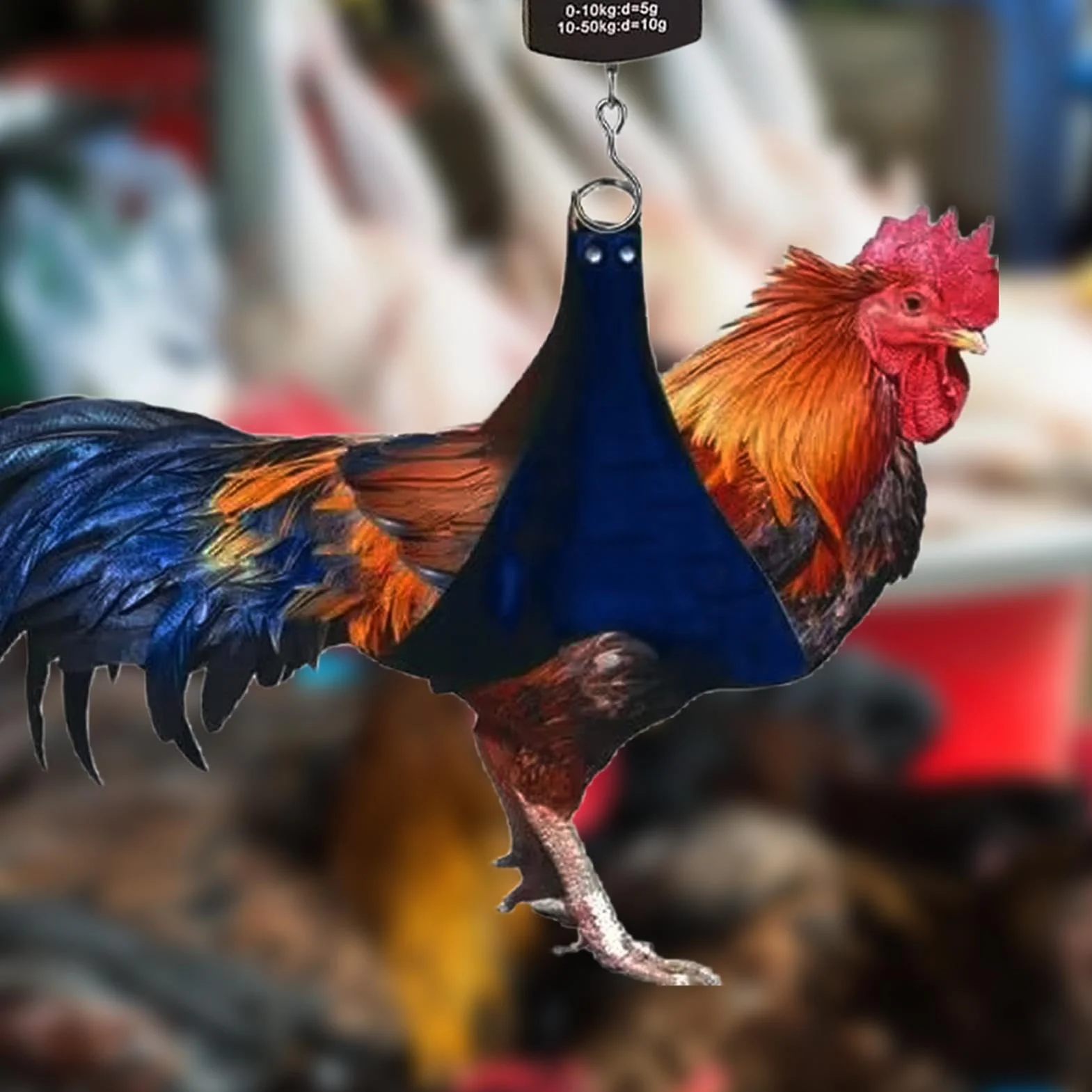 Balance électronique pour volaille Sac de pesée de poulet Élingue de support avec échelle de poids