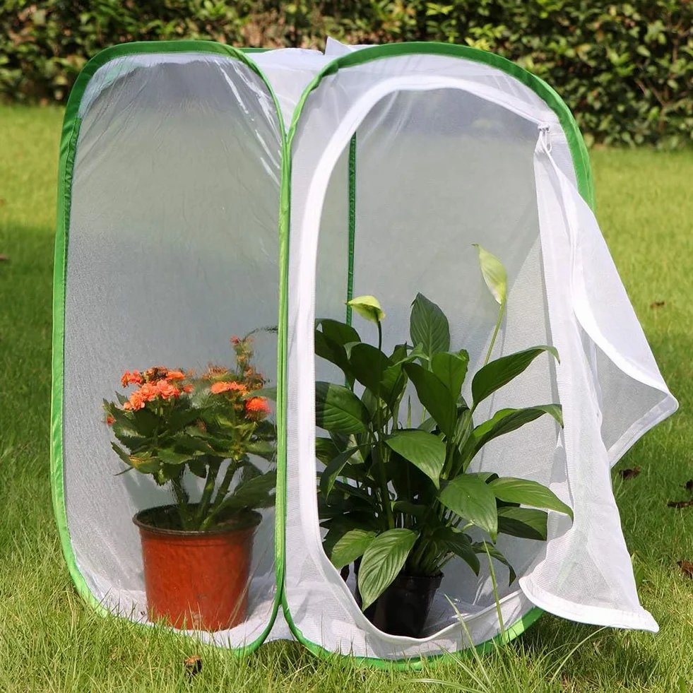 Lot de 2 cages d'habitat pour insectes et papillons - 40 x 60 cm