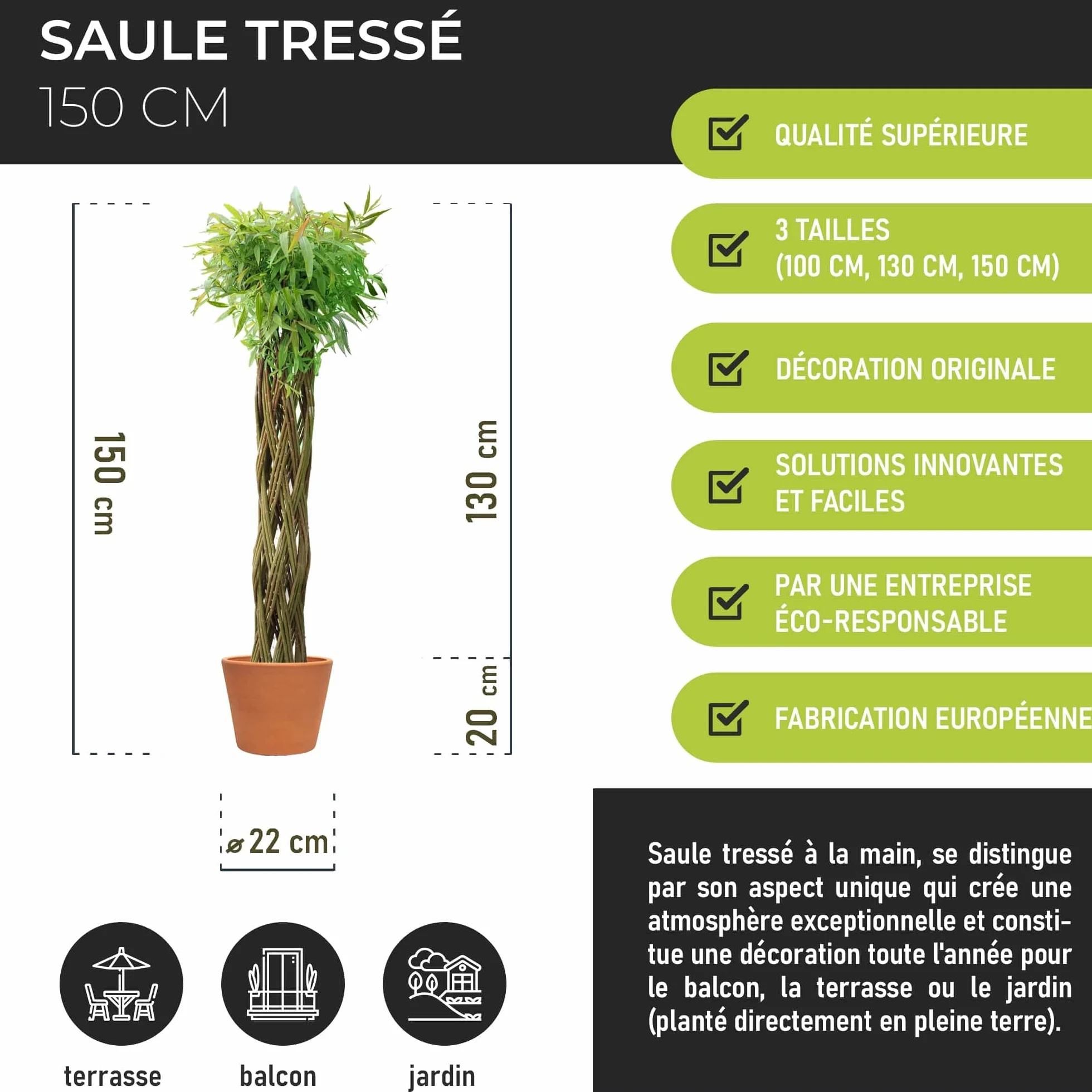 Saule tressé Arbre osier 150 cm - Résistant à l'hiver, Facile d'entretien, Plante décorative pour jardin, balcon, terrasse