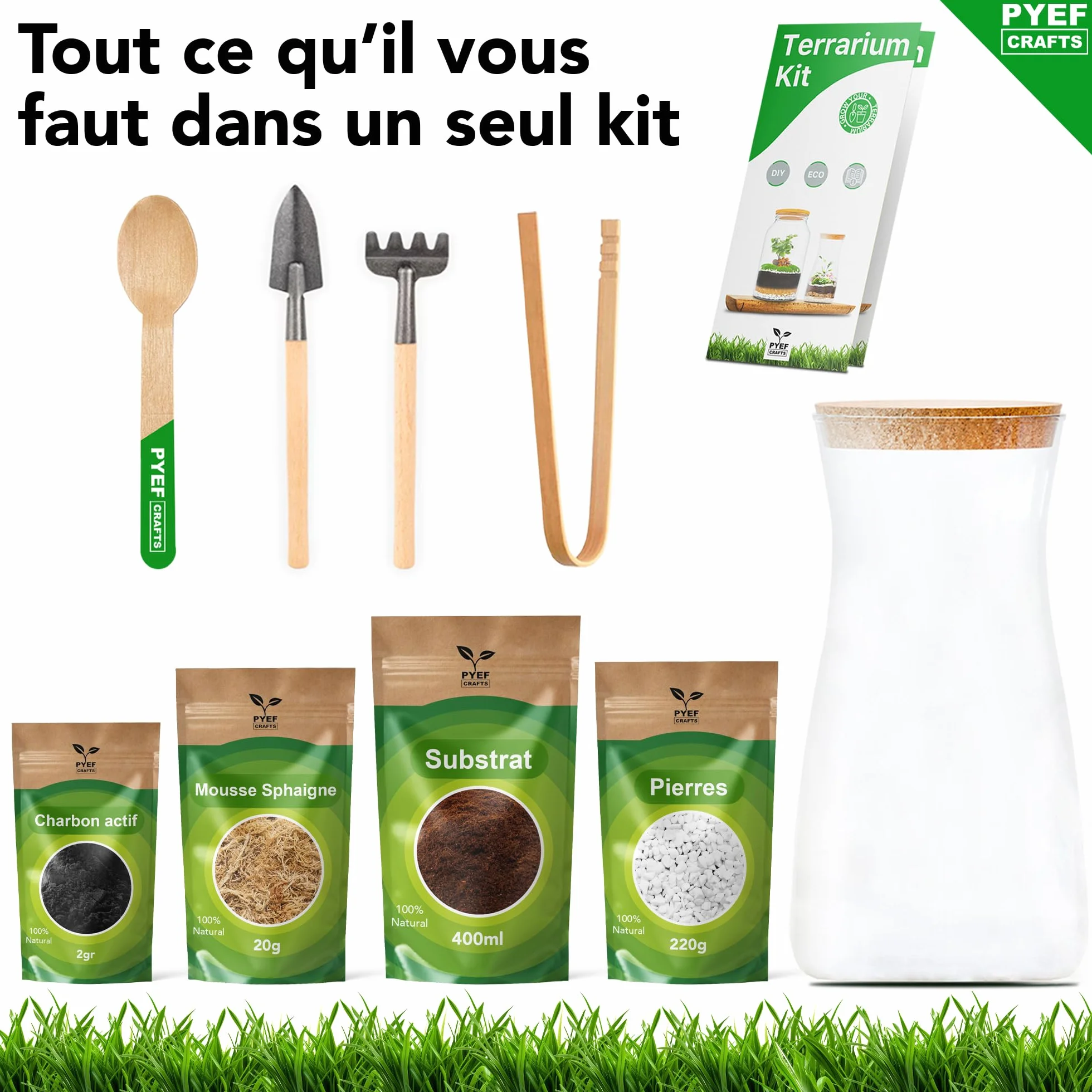 Kit Terrarium Plante DIY Verre - Prêt-à-Pousser Jardin Bouteille - Set Faire Pousser
