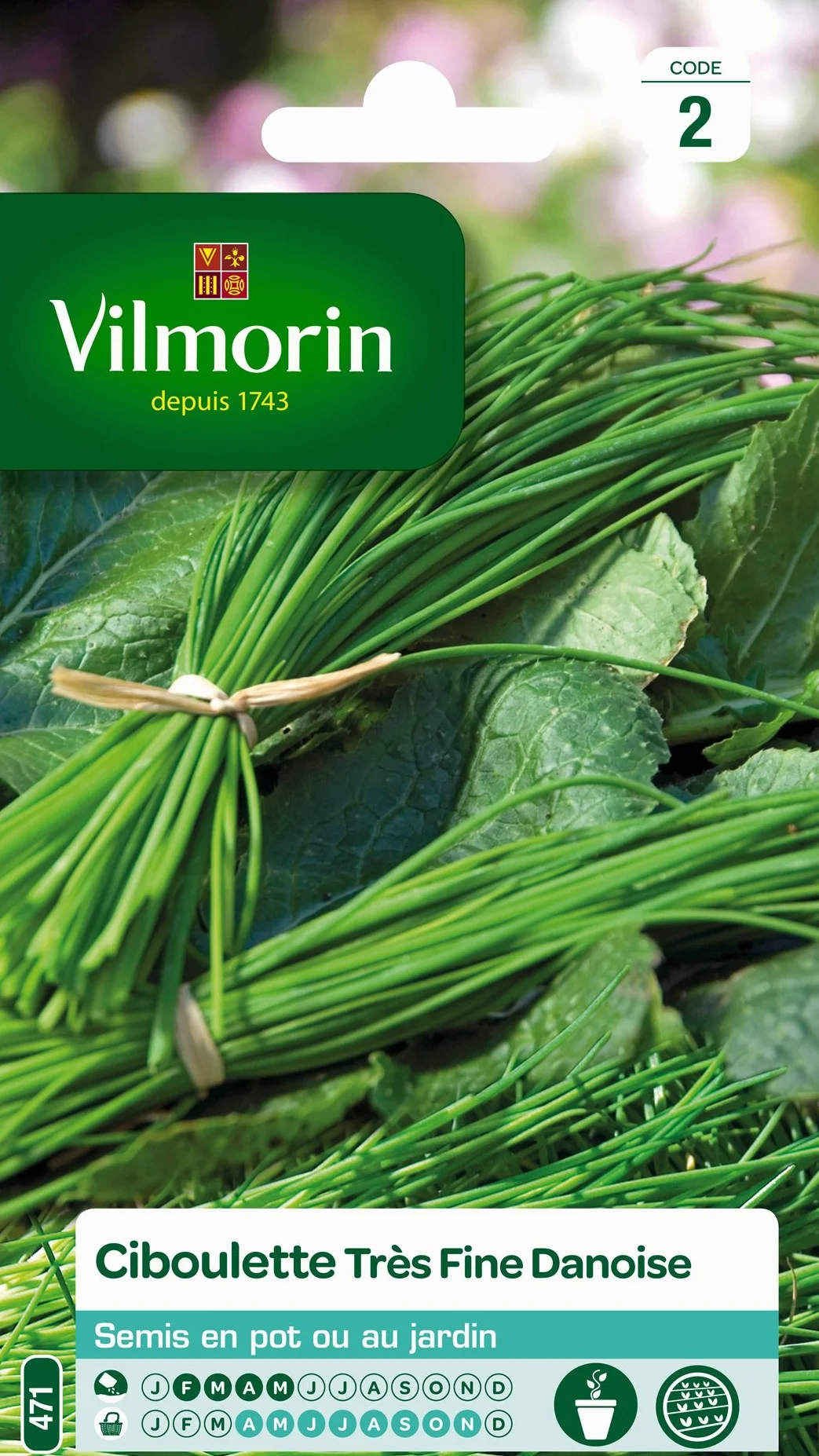 Vilmorin Pack de Graines Ciboulette Très Fine Danoise