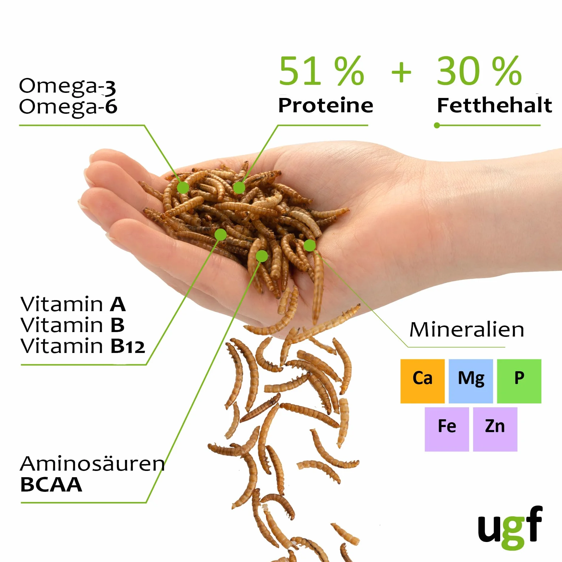 UGF - Vers de Farine Conservés Juteux 35 g Nourriture pour Oiseaux Sauvages Toute l'année