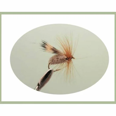 Mouche à Truite Sedge, Lot de 36, 12 Modèles, Taille 10/12, Mouche Sèche pour la Pêche SF5Y
