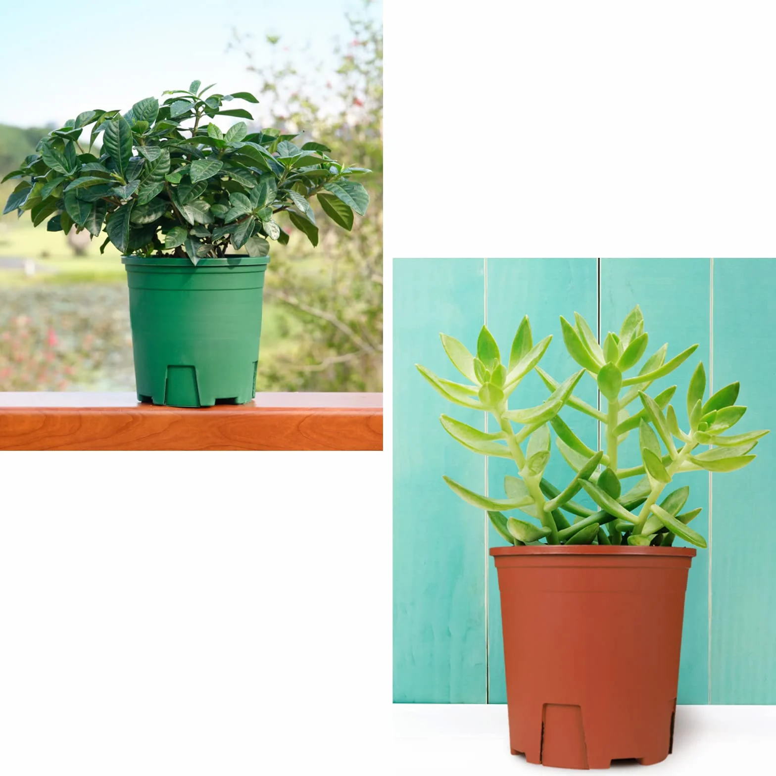 Pots de Fleurs Plastique 11cm 5pcs avec Drainage Rouge Intérieur Extérieur