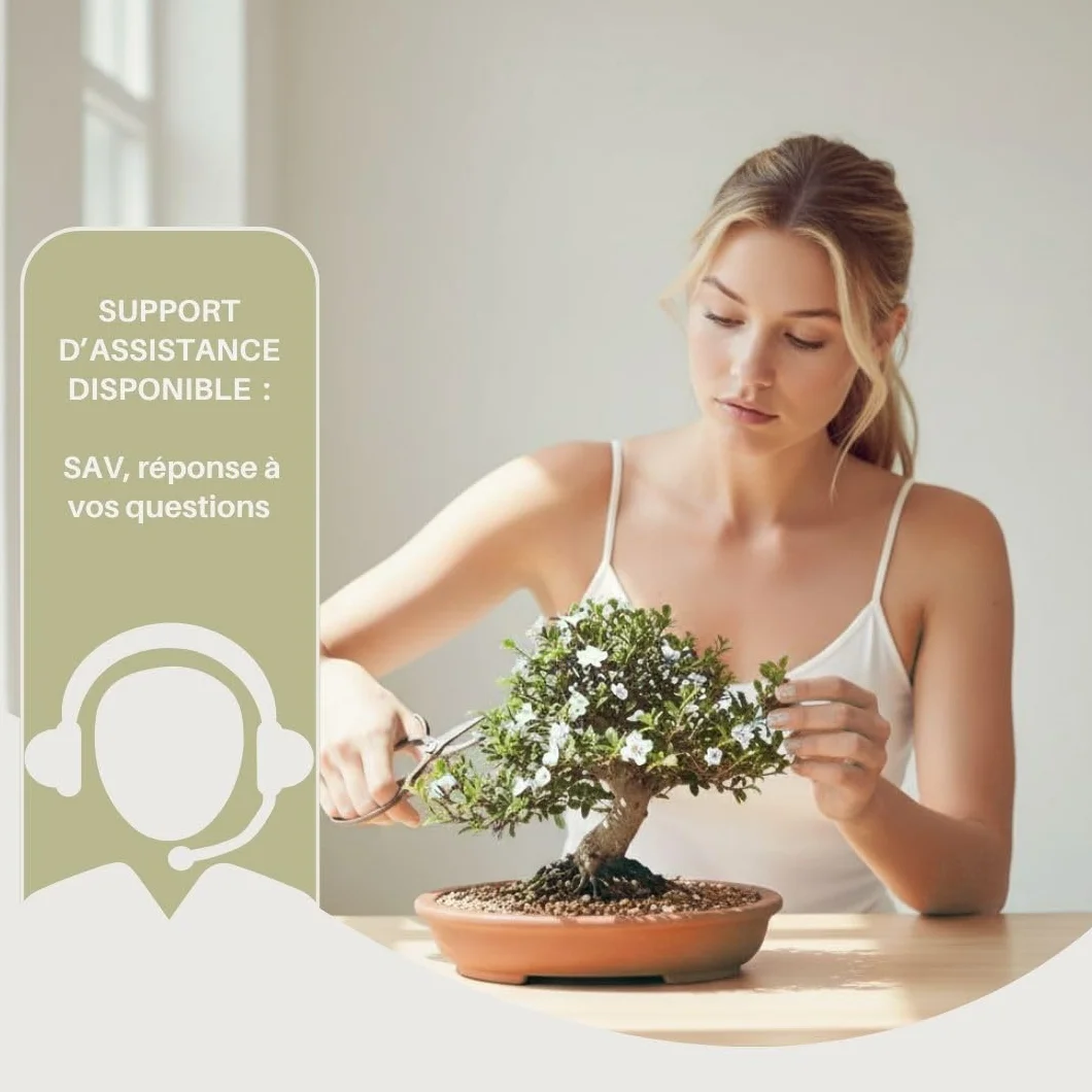 CULTIVEA® Kit Bonsai Prêt à Pousser – Coffret Complet Graines Pots Outils Notice – Jardinage Intérieur