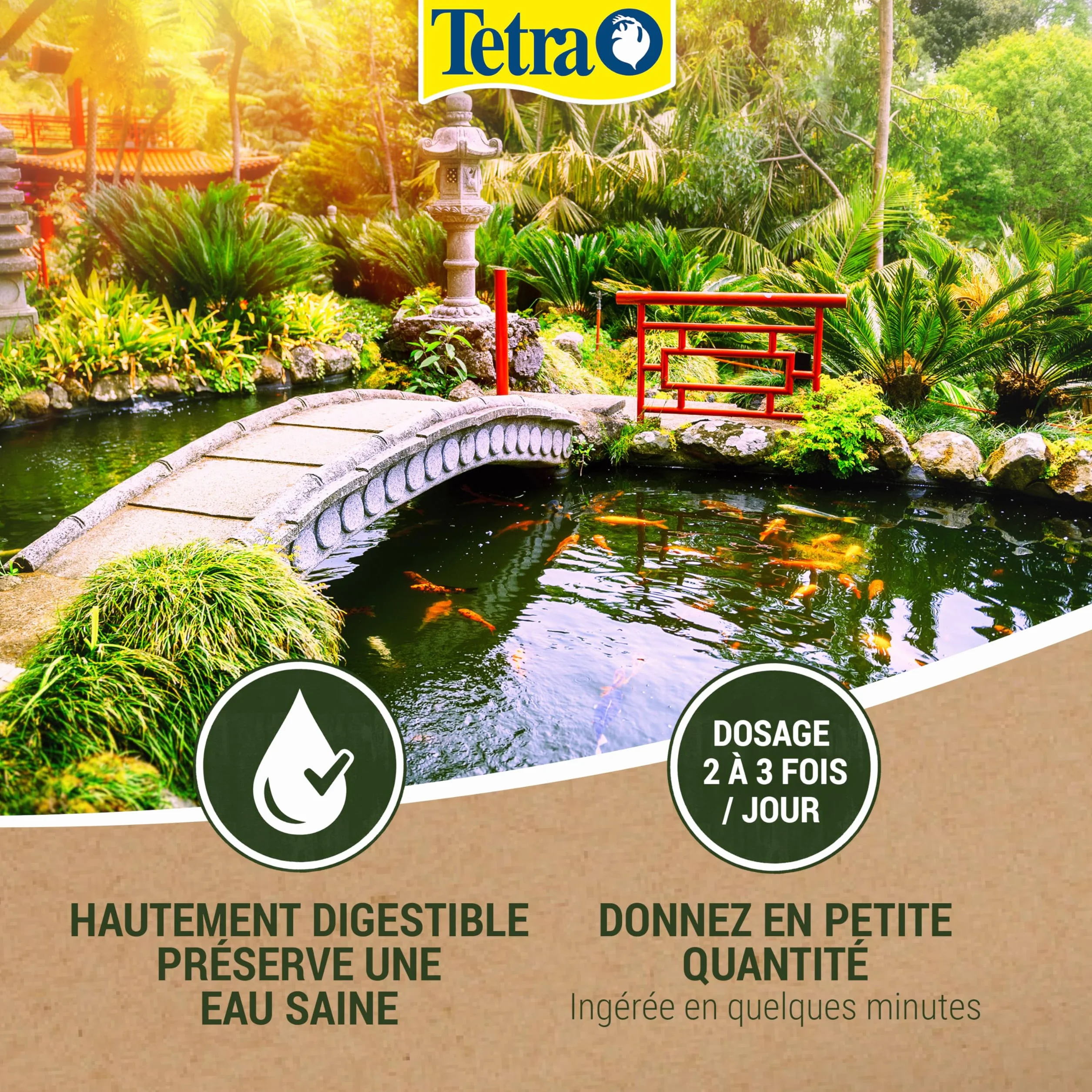 Tetra Pond Koï Aliment Complet Premium pour Carpes Koï de Bassin 4 L