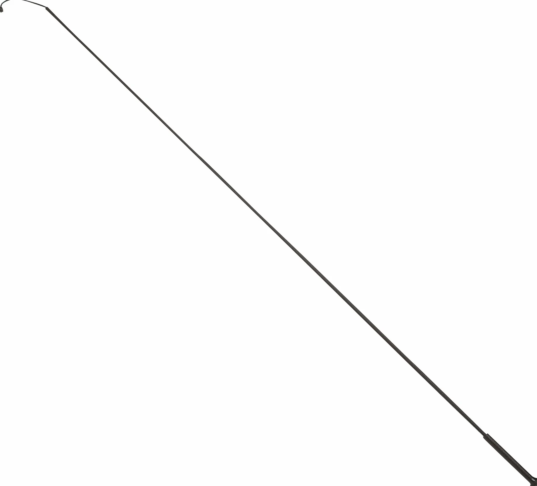 Whip and Go Fouet d'entraînement Unisexe Adulte - Noir - 160 cm - 952044