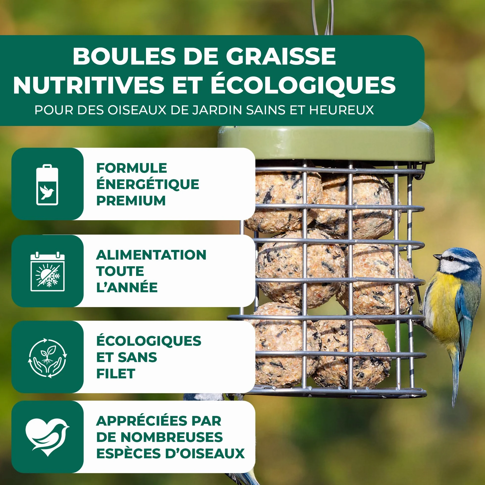 Boules de Graisse GardenersDream Friandises énergétiques pour Oiseaux Sauvages 300 pièces