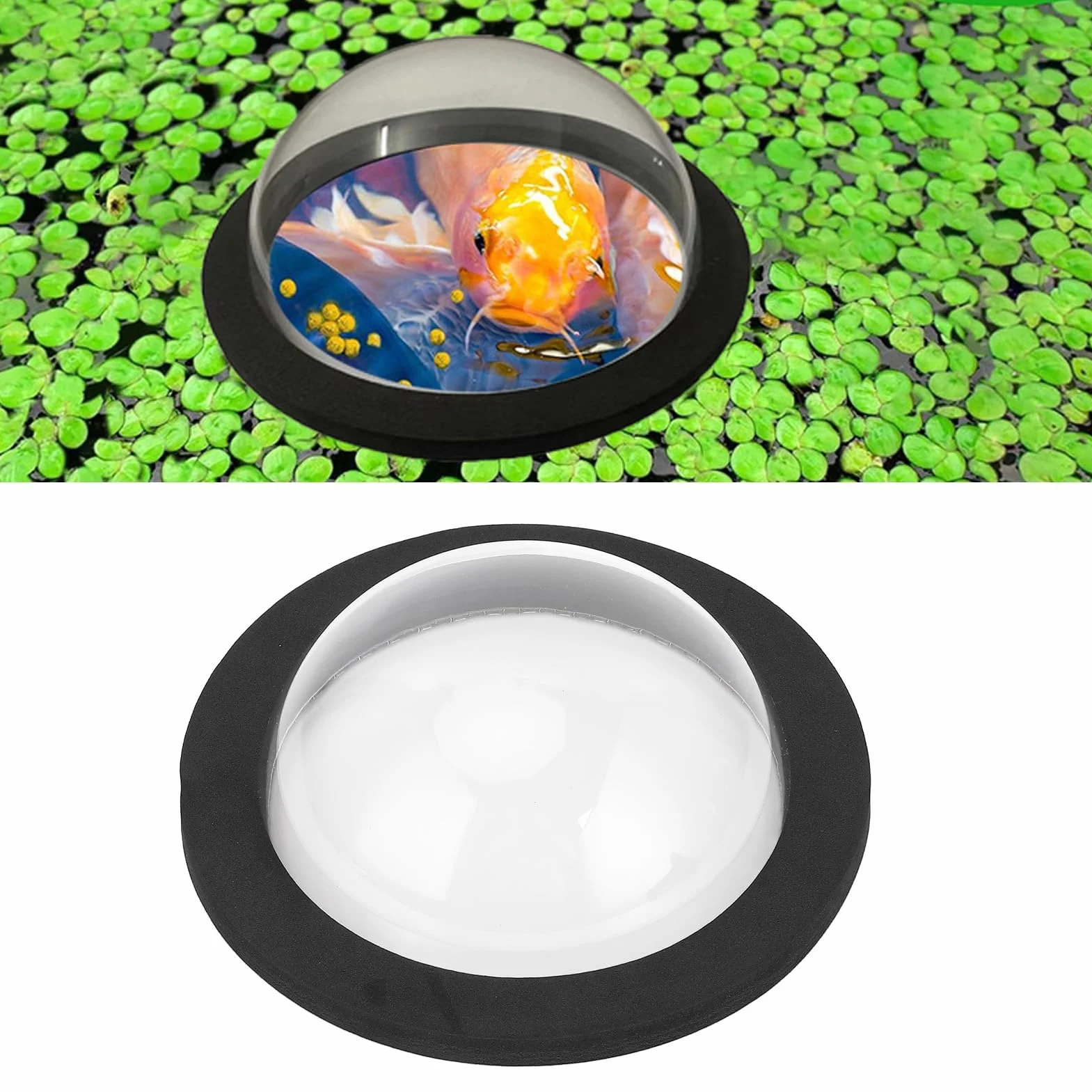 Dôme Flottant pour Poissons d'Étang en Plastique Robuste Transparent, Sécurité par Tous Les Temps