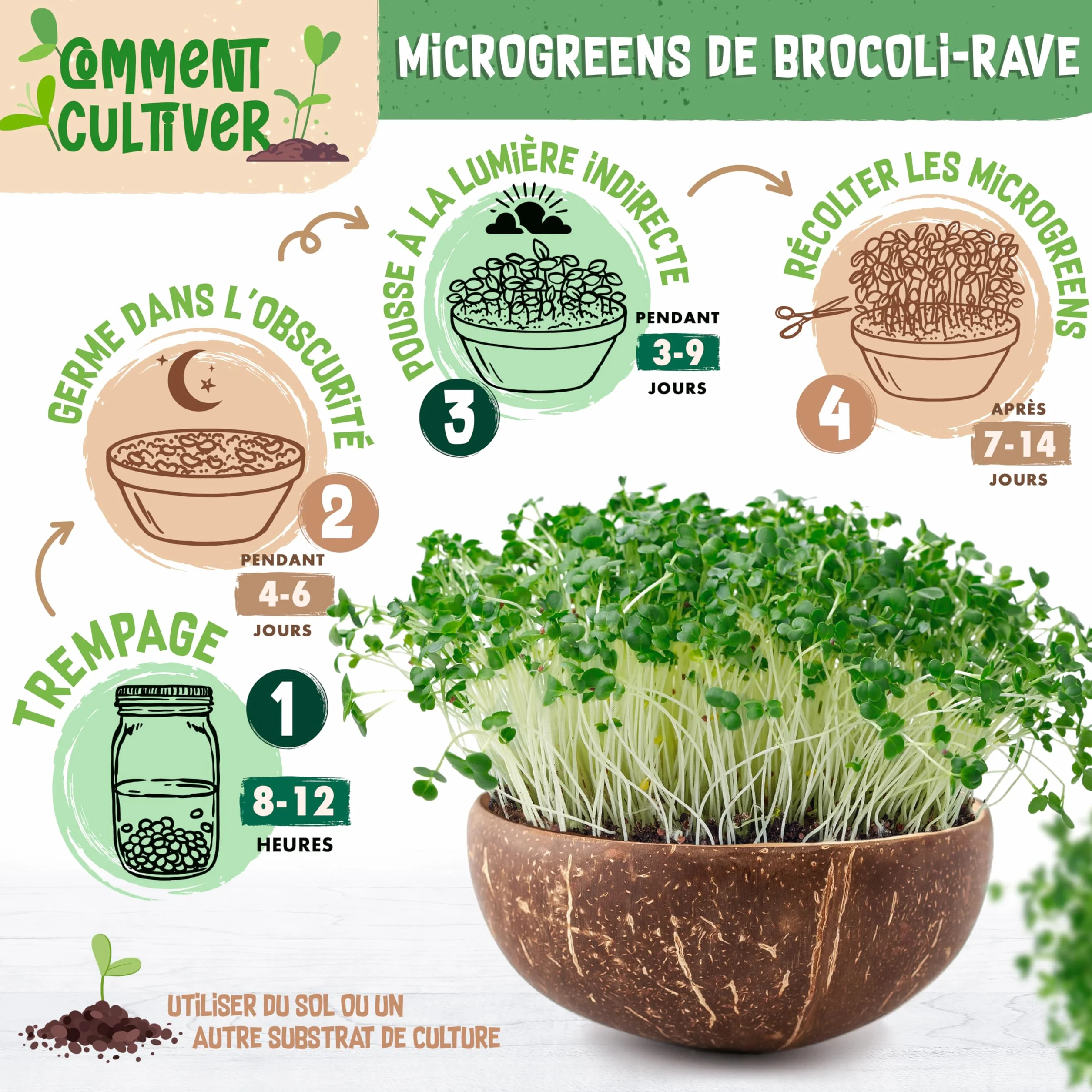 Graines de brocoli bio ZenGreens - Microgreens - 10g, 200g, 500g - Taux de germination 97%