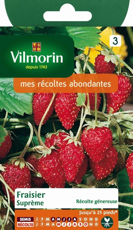 Vilmorin Pack de Graines Fraisier 4 Saisons Suprême