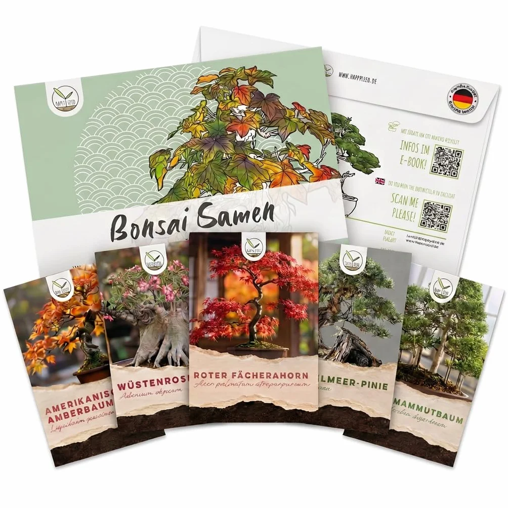 Graines de bonsaï Kit 5 graines taux de germination élevé