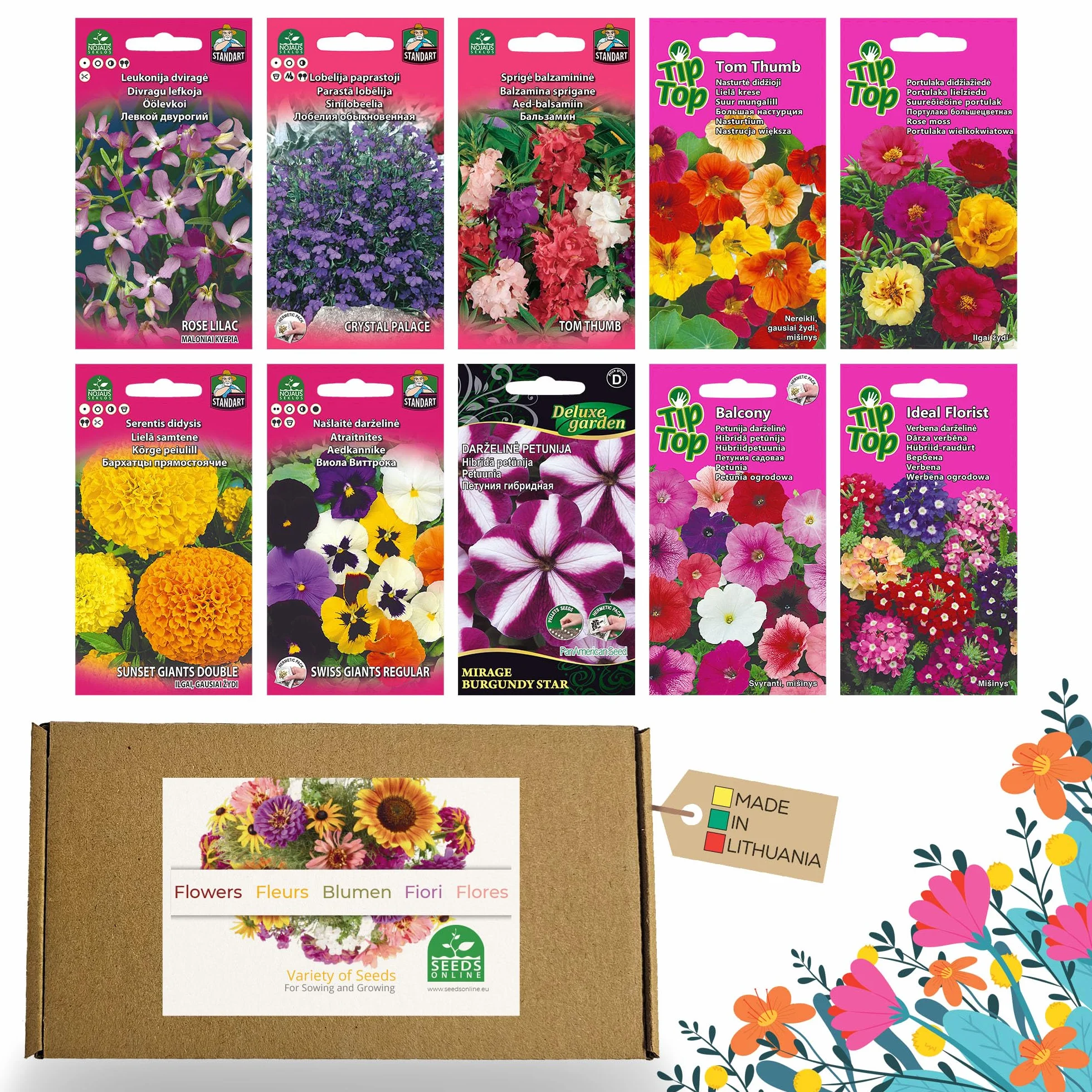 Nojus Lot de graines de fleurs 10 variétés - Graines de fleurs de balcon colorées sauvages