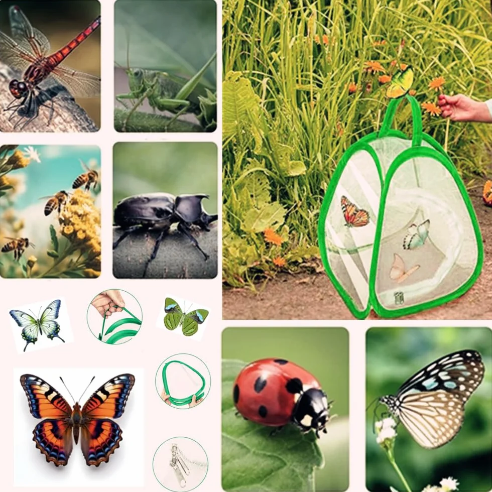 Cage pour papillons Filet de culture pour enfants 2 insectes