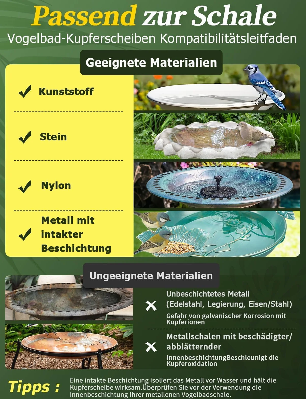 Mellbree Plaque de nettoyage cuivre pur 99,99% pour abreuvoir oiseaux - 14 jours eau claire - 1 pièce