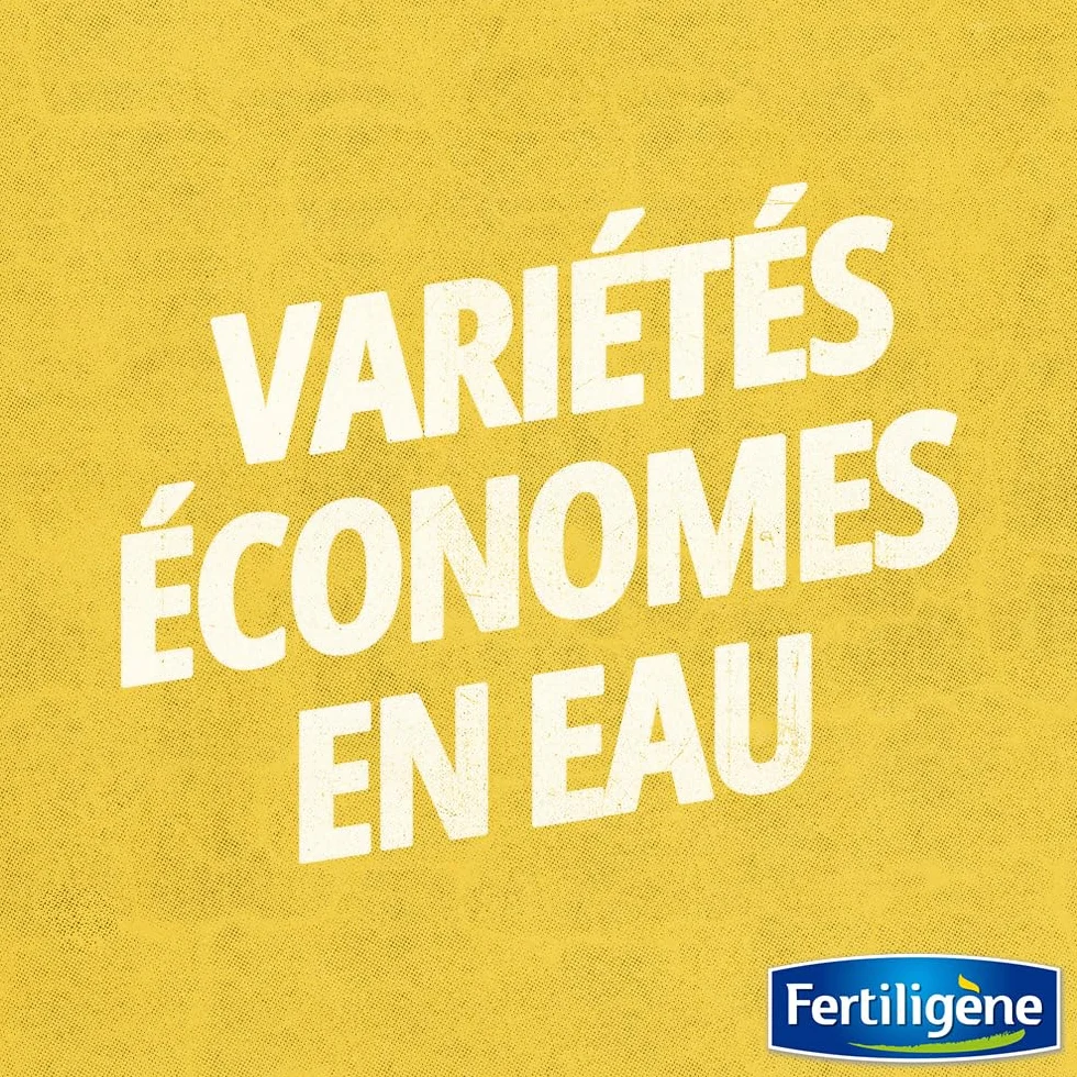 FERTILIGÈNE Semences Gazon Terrain Sec Ensoleillé 875g Haute Résistance Sécheresse Chaleur Moins Arrosage 35 m²