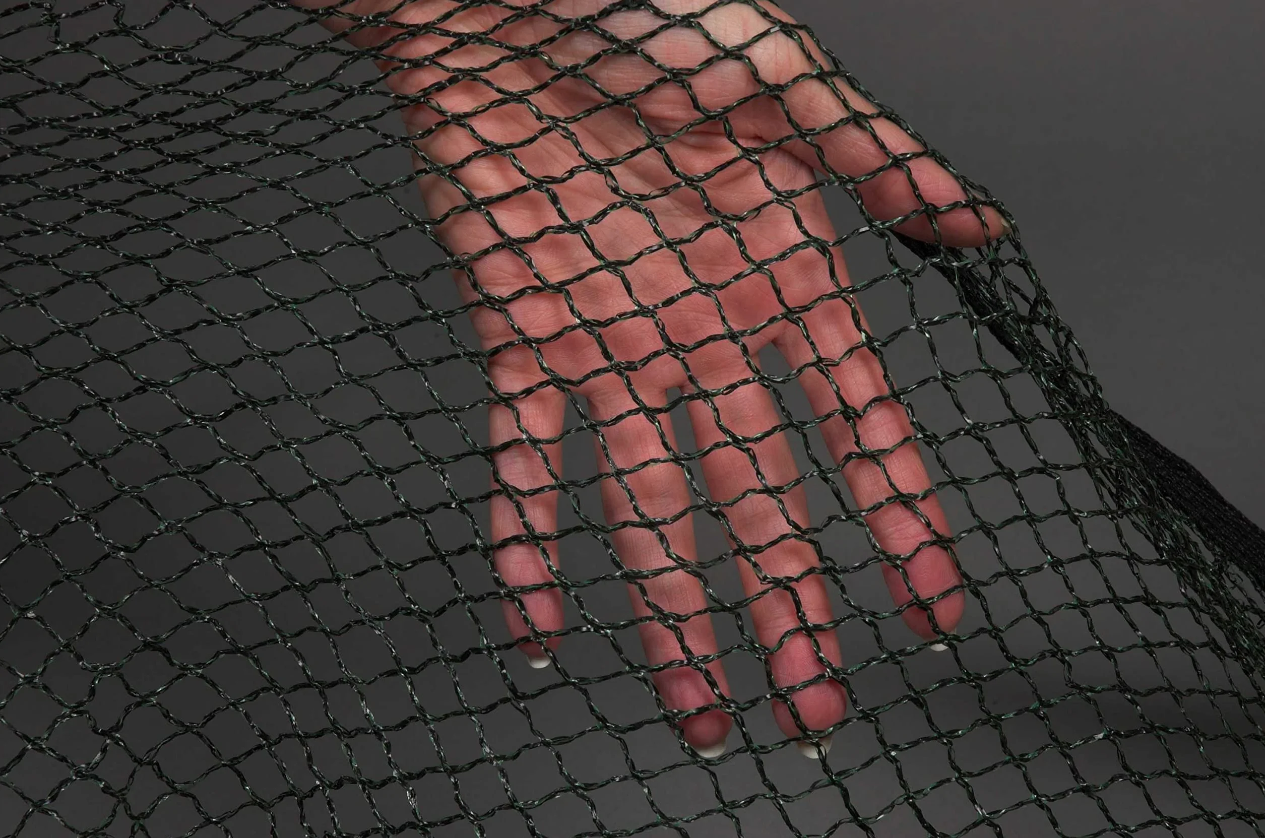 Filet de protection pour bassin d'agrément Cover Net 6 x 10 m