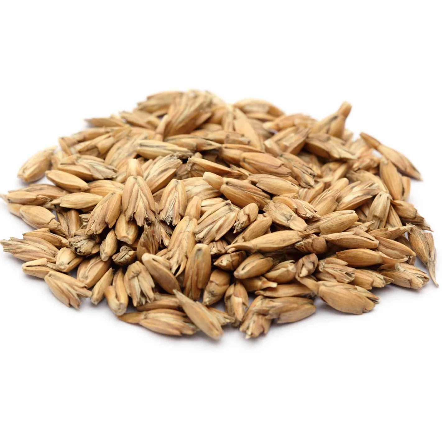 Épeautre bio pour remplissage de coussin à partir de 1 kg jusqu'à 30 kg – Les grains d'épeautre sont nettoyés et dépoussiérés