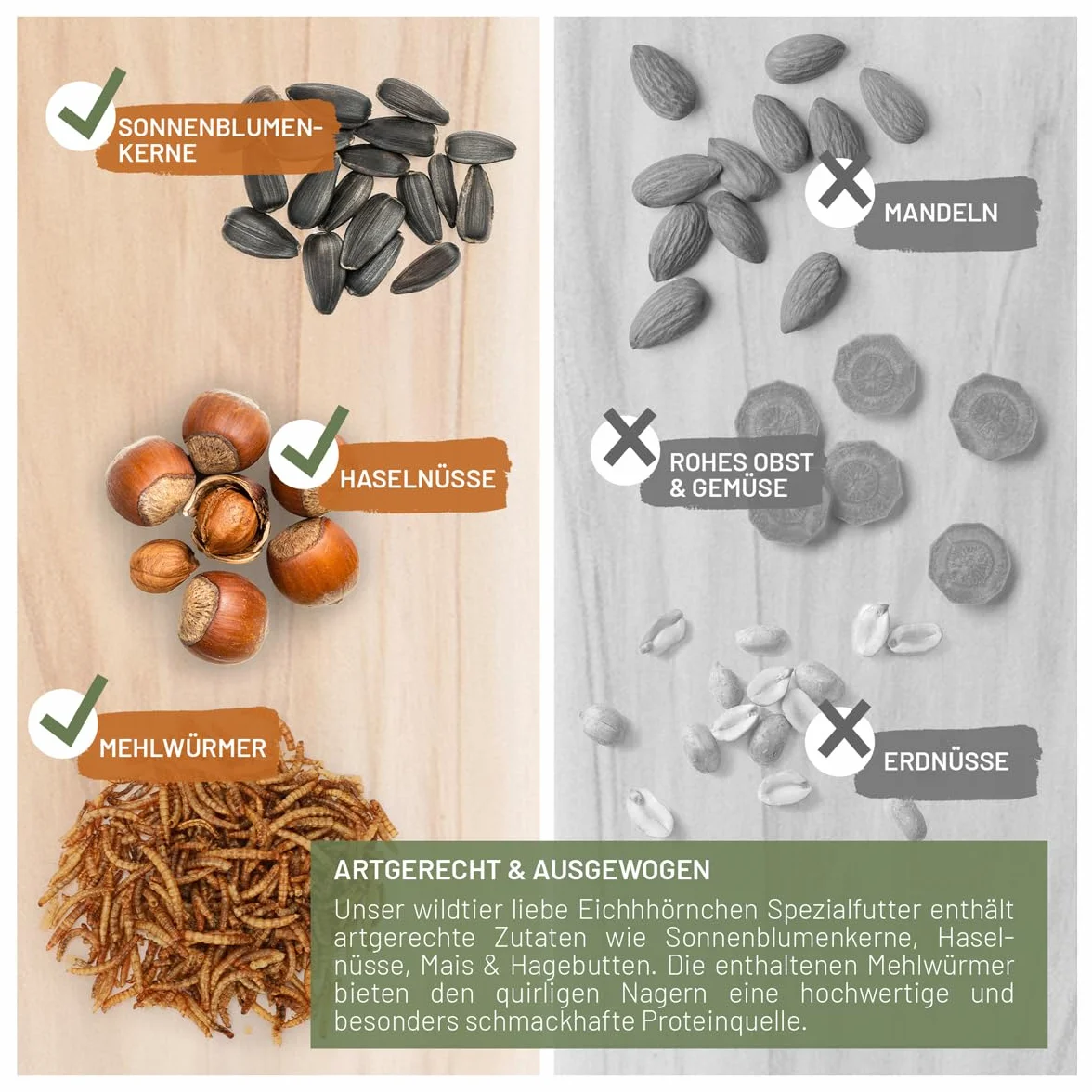 Nourriture pour écureuils et Tamias 1 kg Toute l'année