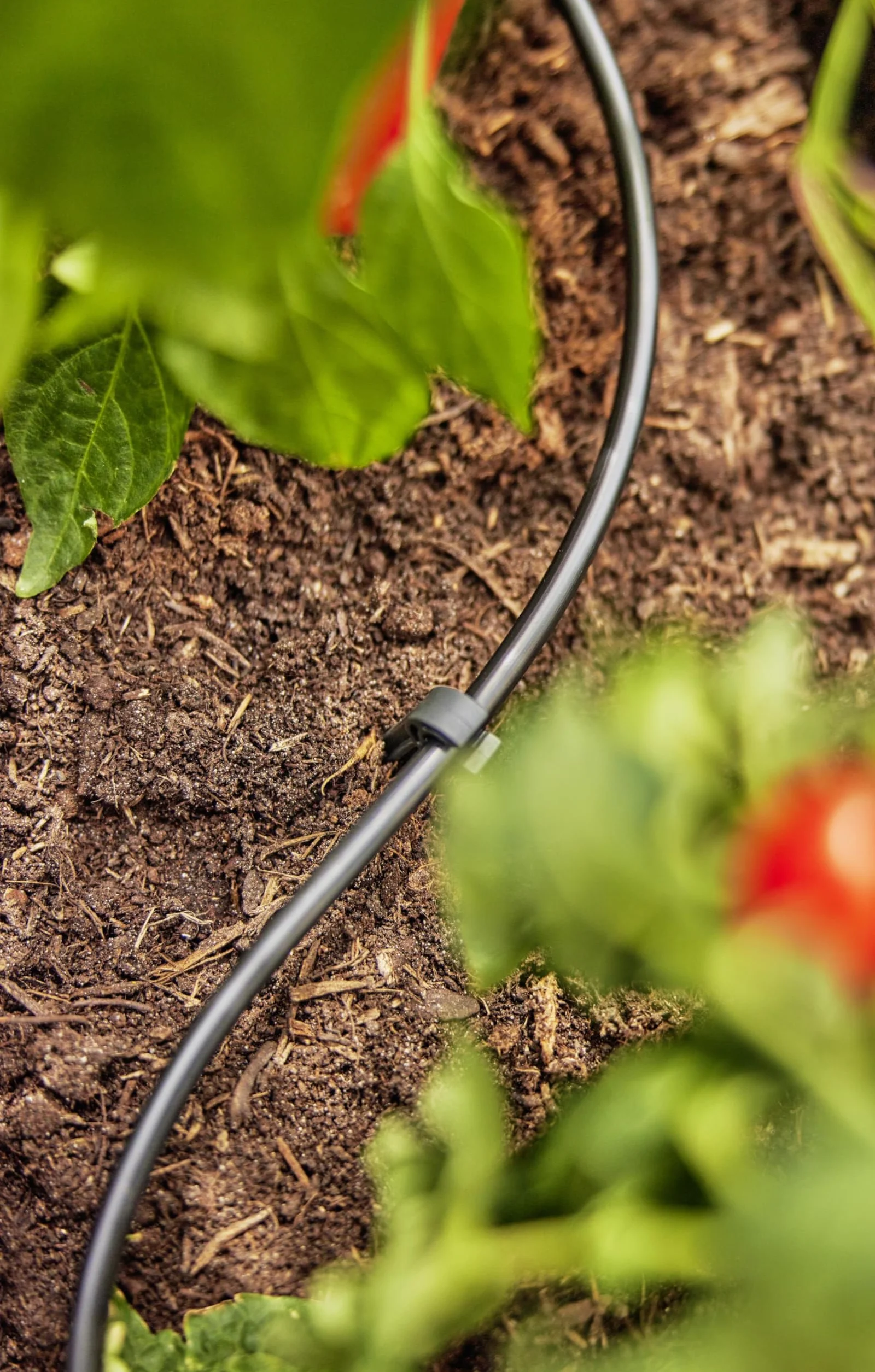 Gardena Tuyau Arrosage Goutte-à-Goutte 4,6 mm 15 m Résistant UV
