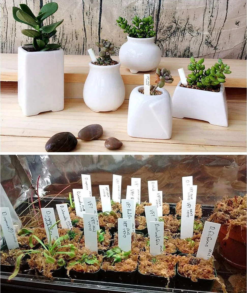 KINGLAKE étiquette en plastique pour plantes 100 pièces 10x2cm blanc