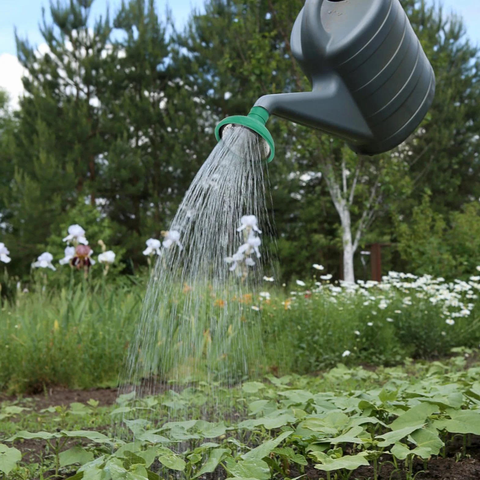 Tête d'arrosage en acier inoxydable pour arrosoir de jardin multifonctionnel