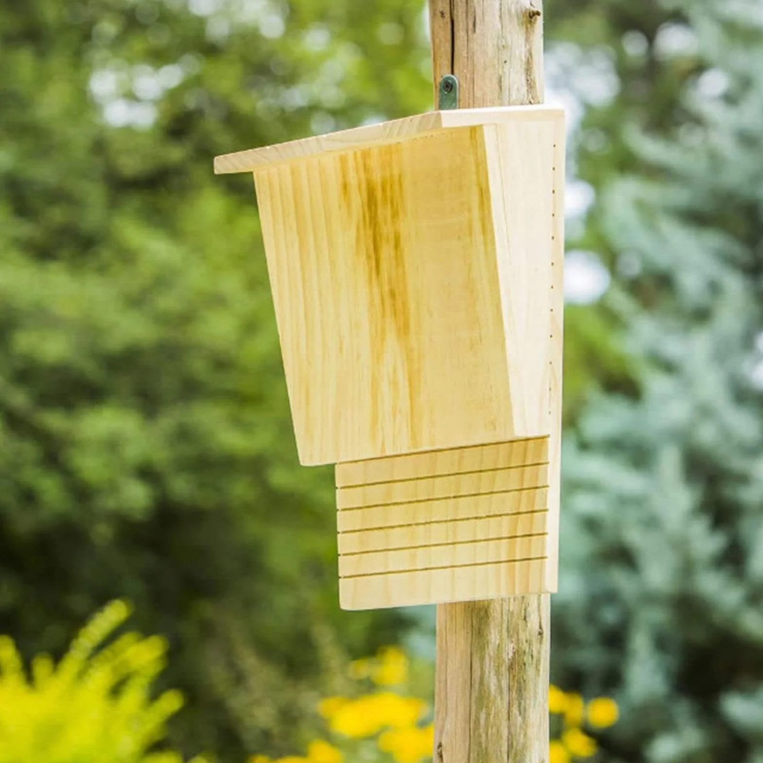 Grand Nichoir pour Chauve-Souris d'Extérieur - Maison Cage Enclos Jardin