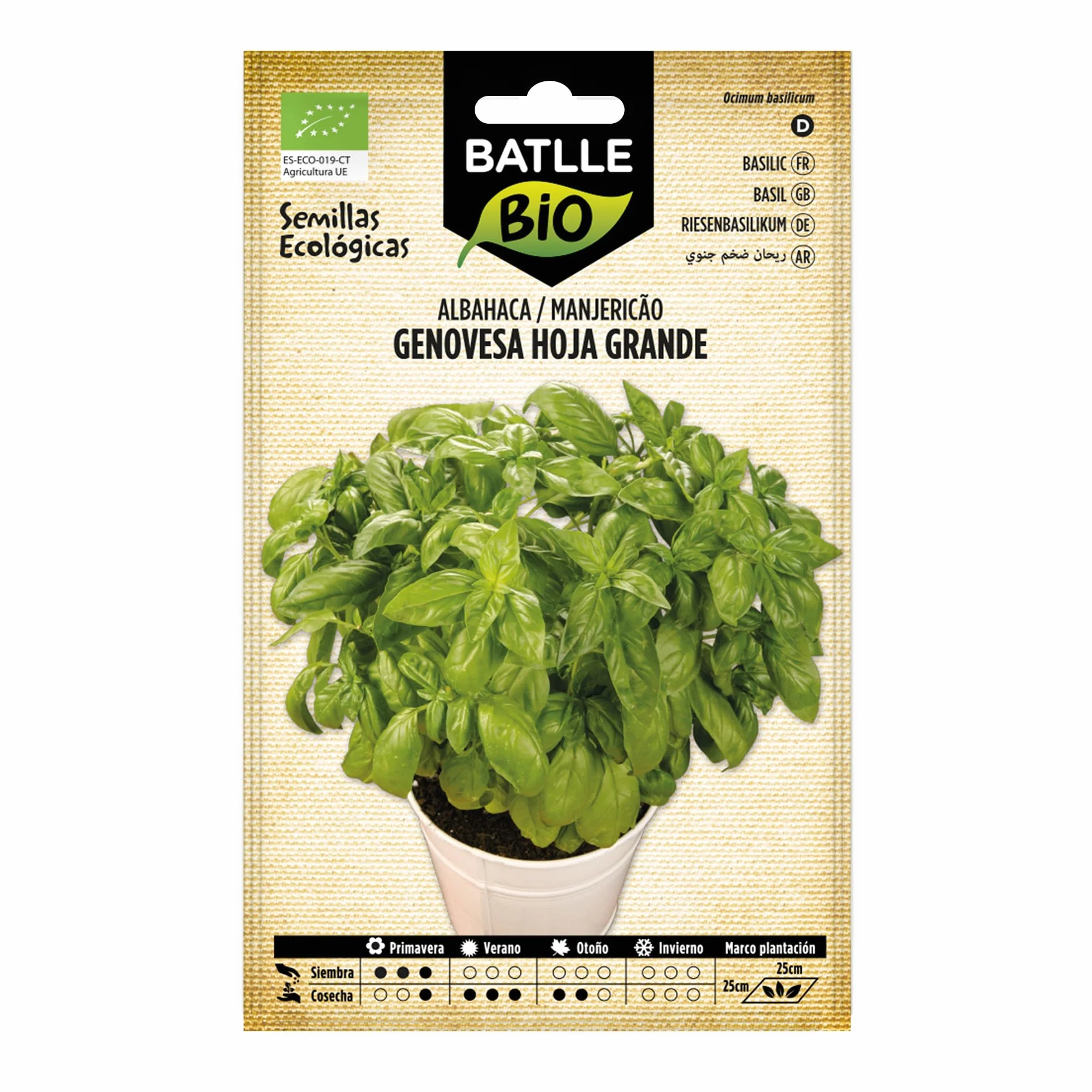 Graines Bio Batlle Basilic Grand Vert 1,5g