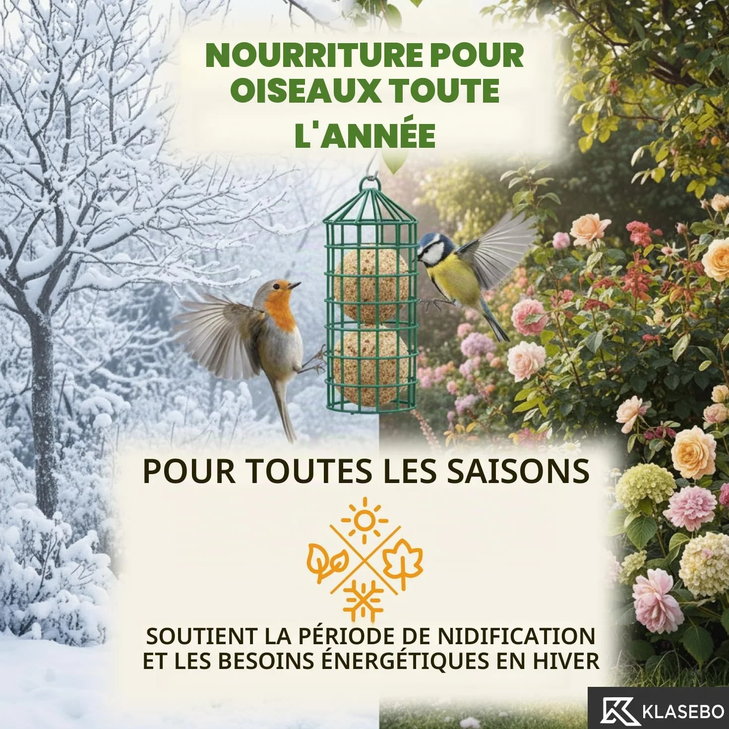 KLASEBO Boules de Graisse Oiseaux Premium avec Insectes 100 x 90 g