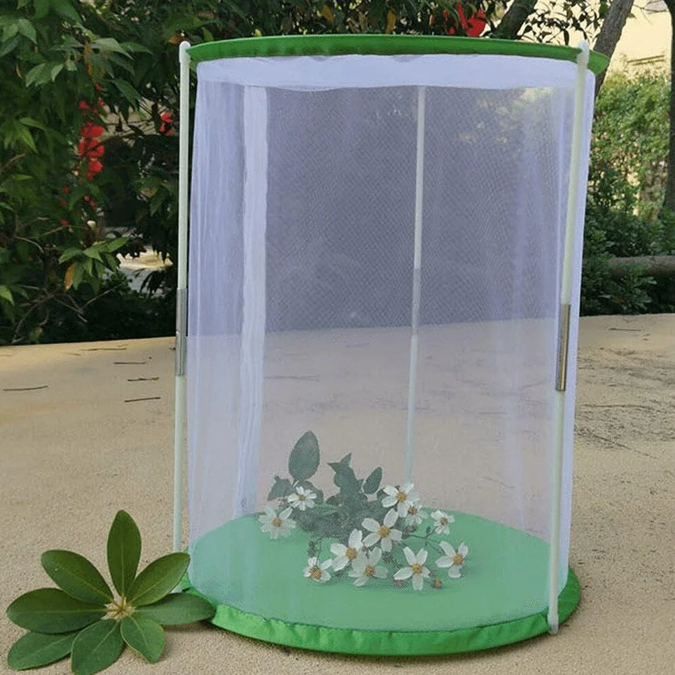 Papillon Habitat Kit Grande Cage Filet à Insectes Pliable 30x40 cm pour Enfants