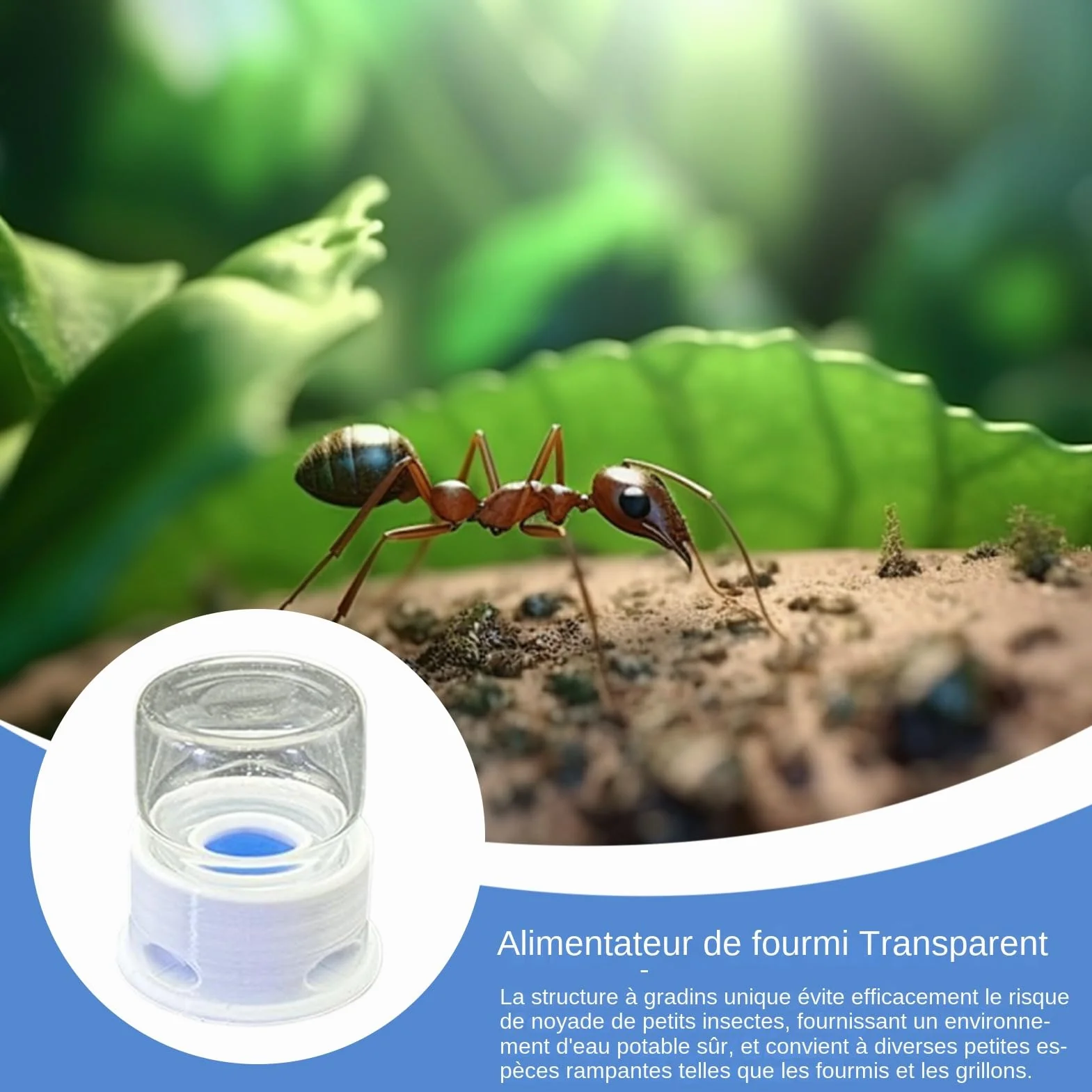 Distributeur pour Fourmis, Fontaine À Eau pour Abeilles, Distributeur À Boisson Transparent Multifonction