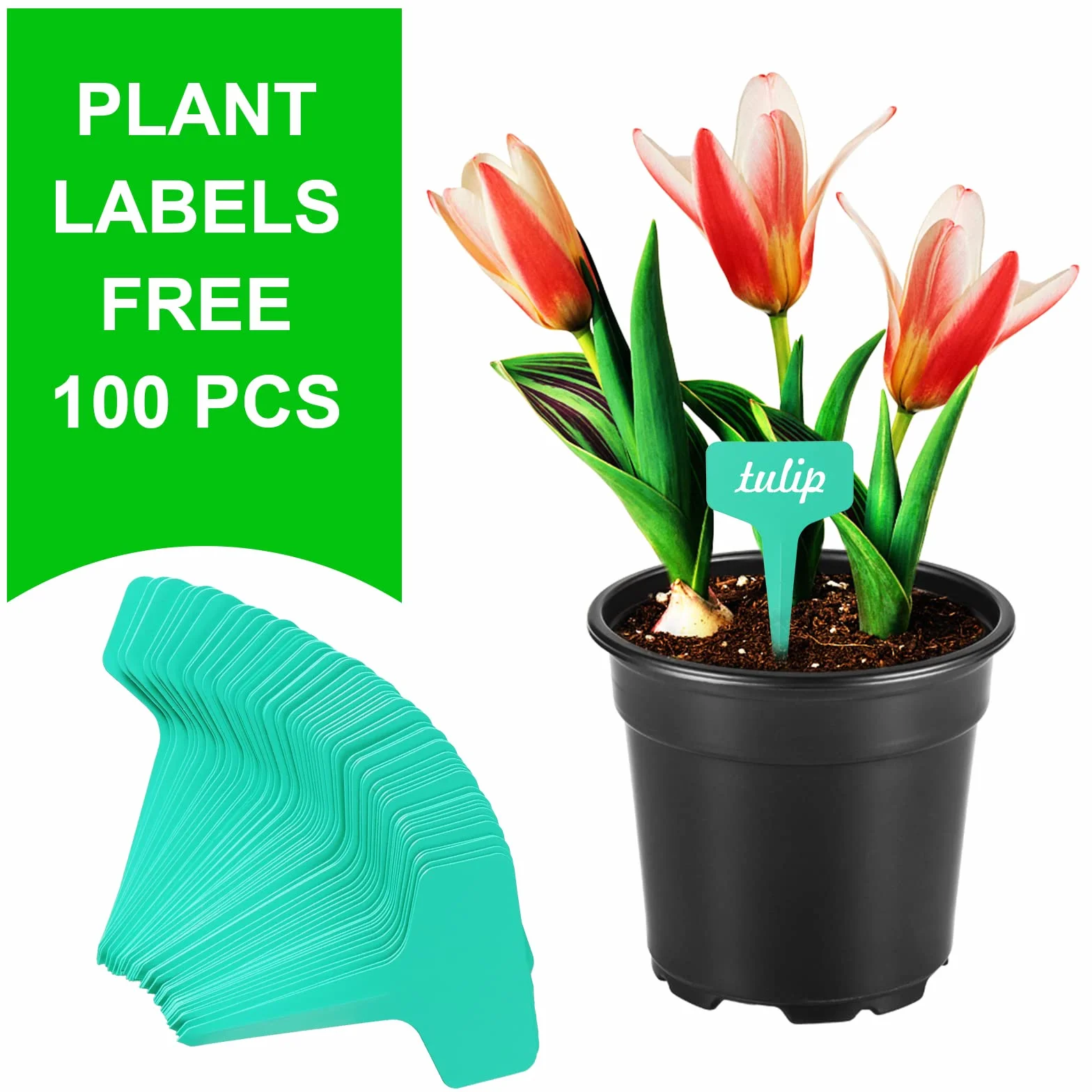 Coolty Lot de 100 pots de fleurs en polypropylène noir souple, 10,2 cm de diamètre