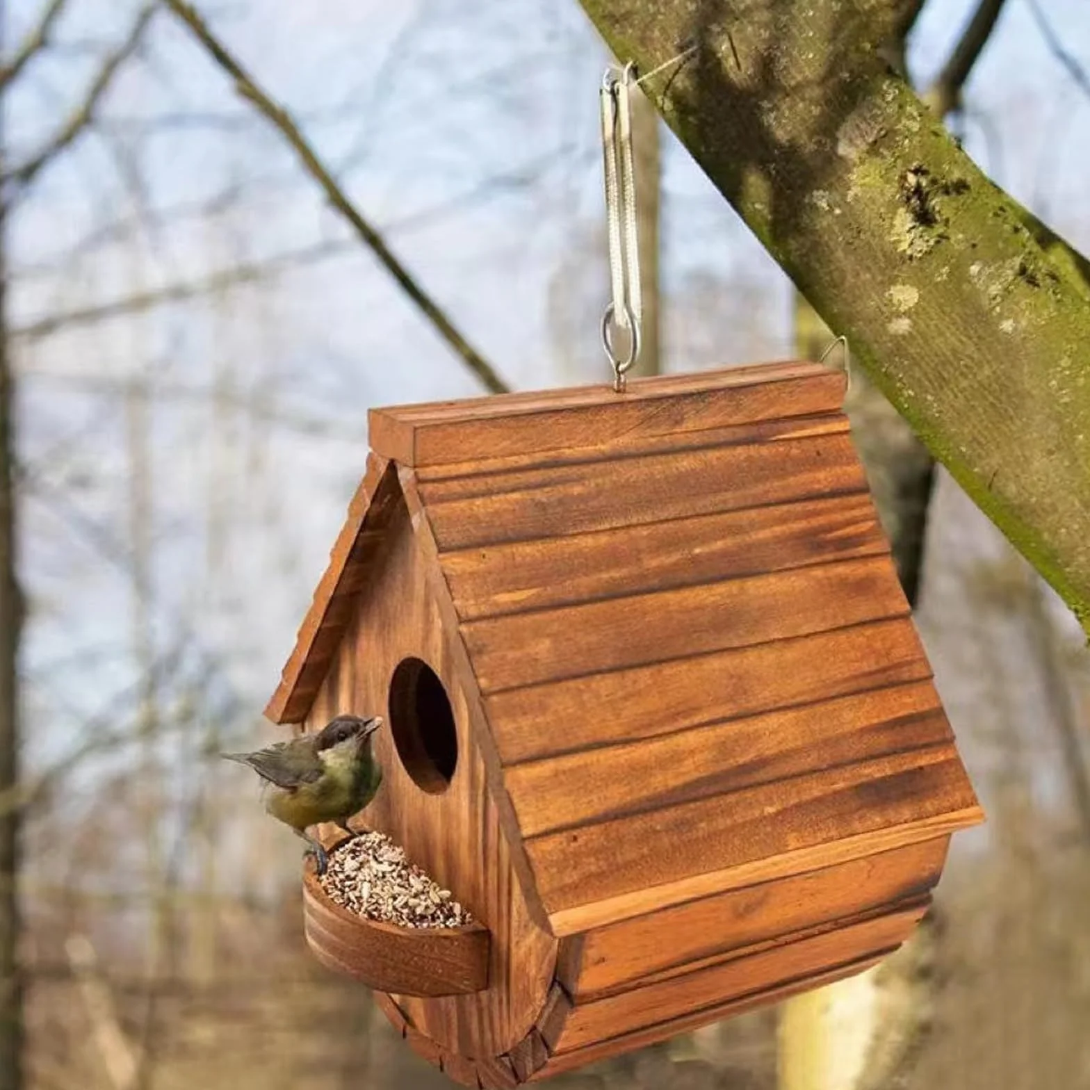Nichoir pour Oiseaux Exterieur en Bois - Mangeoire Oiseaux Sauvages, résistant aux intempéries