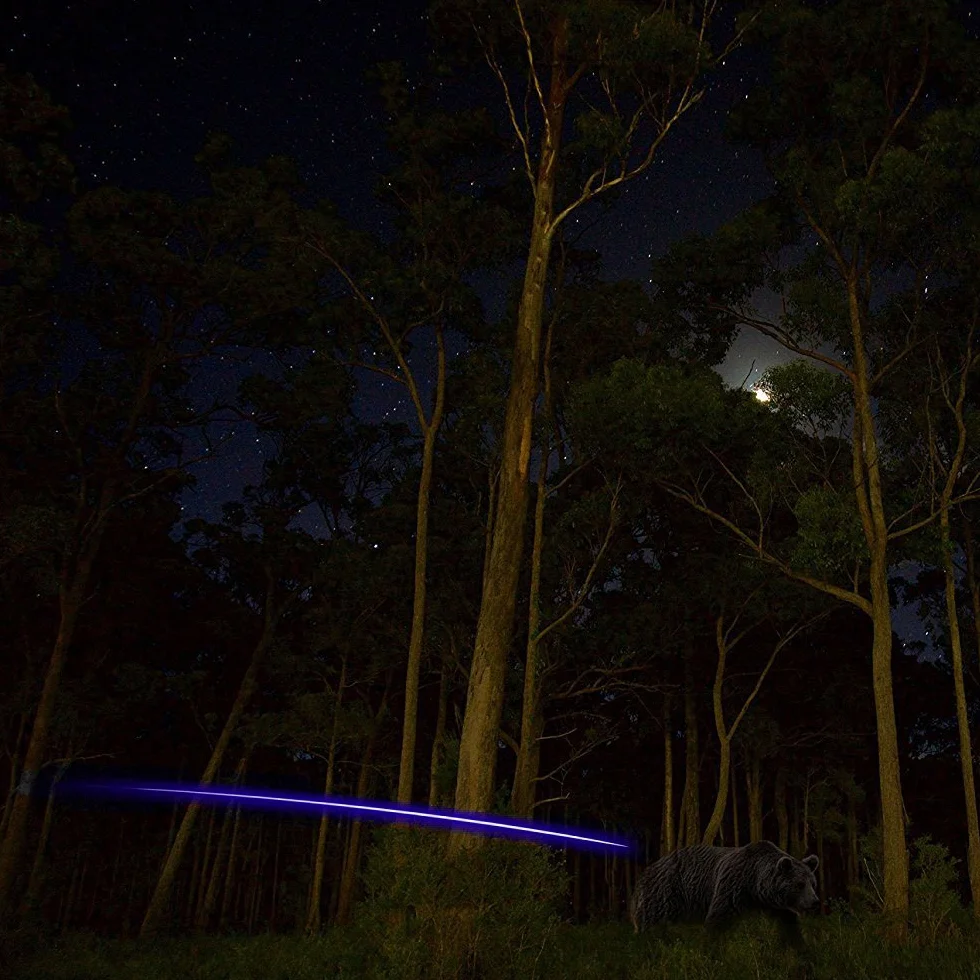 wolfman Pointes de Flèche Lumineuses pour Arc à Poulies Automatique Pointes de Flèche Allumée pour Chasse Et Tir pour Flèche de 6.2mm/7.6mm 5 Pcs