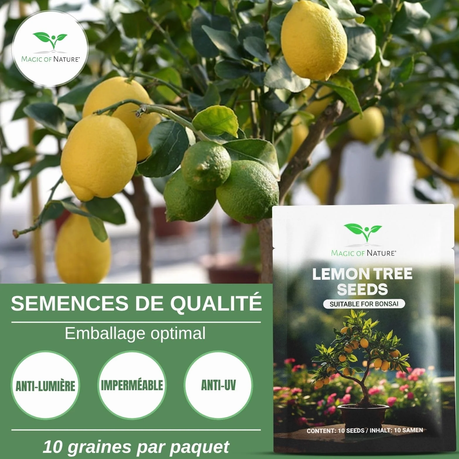 Graines de Citronnier Mini 10 Pcs Bonsaï Semences Plante d'intérieur Vivace
