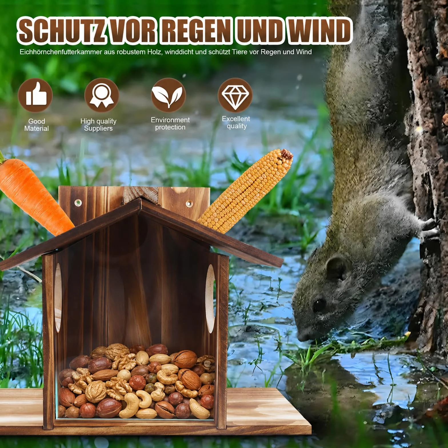 Mangeoire pour écureuils en bois résistant aux intempéries avec revêtement d'huile de lin