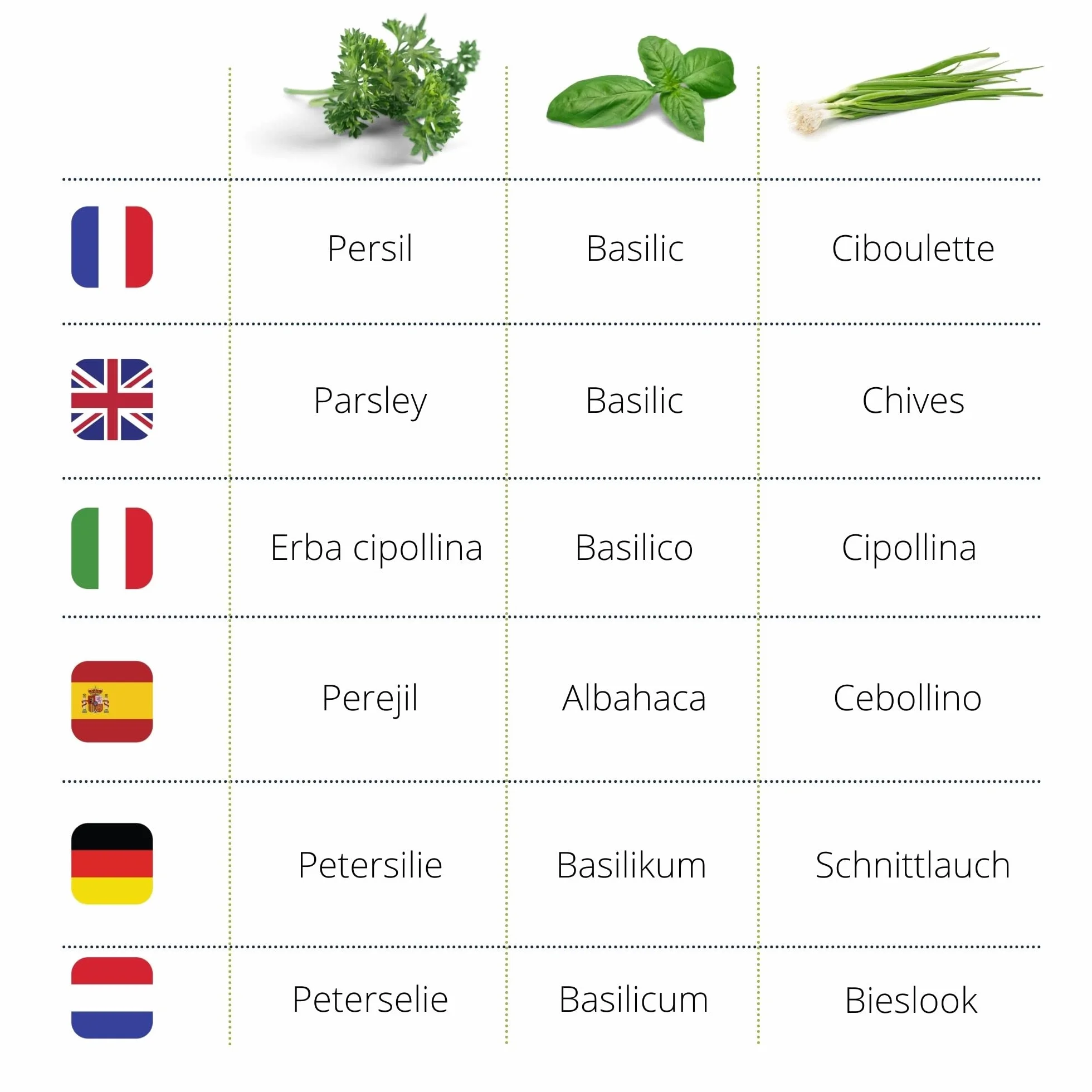 Kit Herbes Aromatiques Intérieur Bio – Basilic Persil Ciboulette – Mini Potager Bocaux en Verre Cadeau