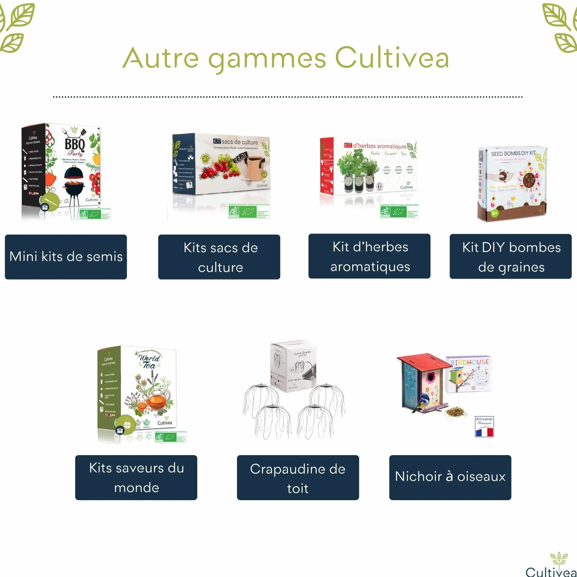 Kit Herbes Aromatiques Intérieur Bio – Basilic Persil Ciboulette – Mini Potager Bocaux en Verre Cadeau