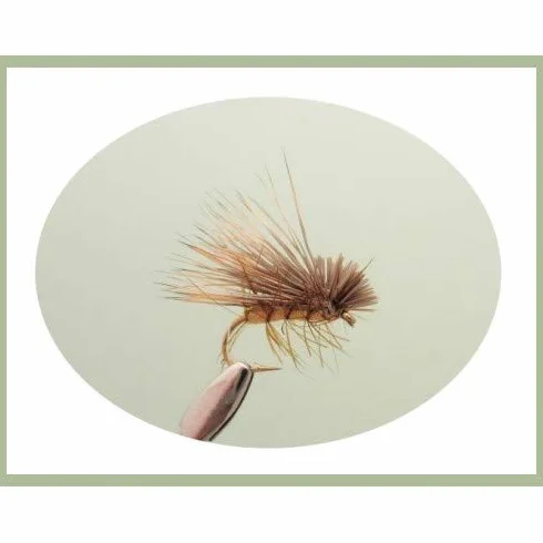 Mouche à Truite Sedge, Lot de 36, 12 Modèles, Taille 10/12, Mouche Sèche pour la Pêche SF5Y
