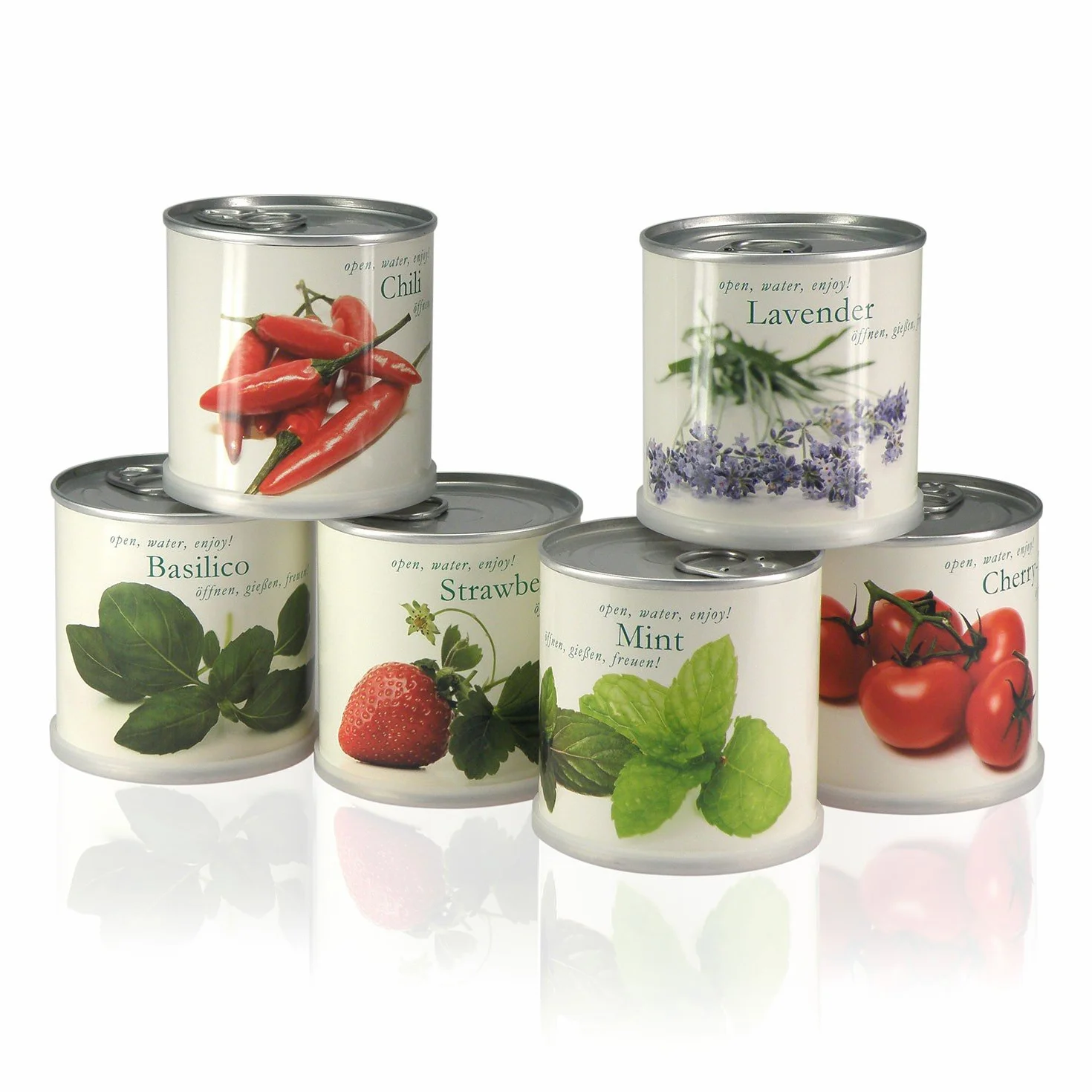 Frangipanier – Plumier de macflowers dans la boîte