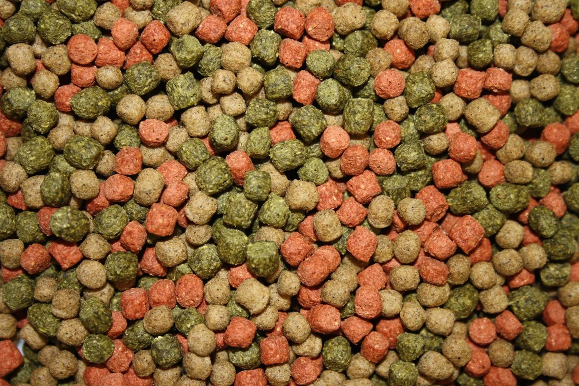 Coppens Allround Nourriture pour poissons koï 6 mm 15 kg