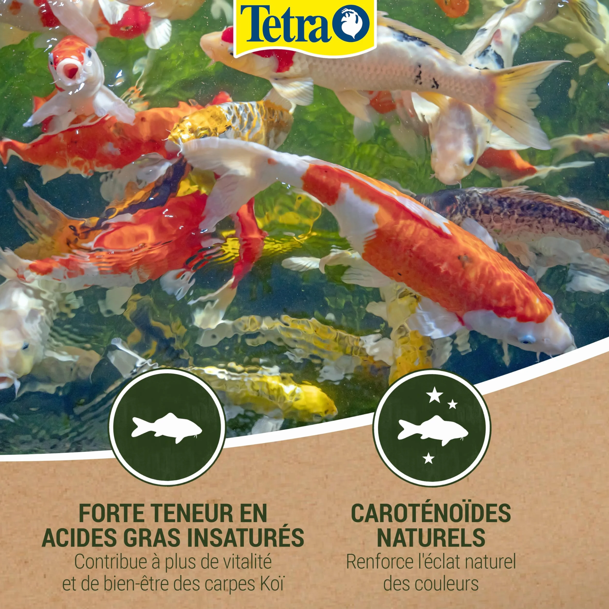 Tetra Pond Koï Aliment Complet Premium pour Carpes Koï de Bassin 4 L