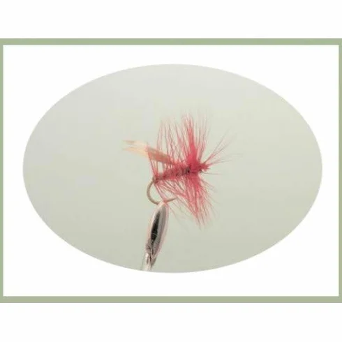 Mouche à Truite Sedge, Lot de 36, 12 Modèles, Taille 10/12, Mouche Sèche pour la Pêche SF5Y
