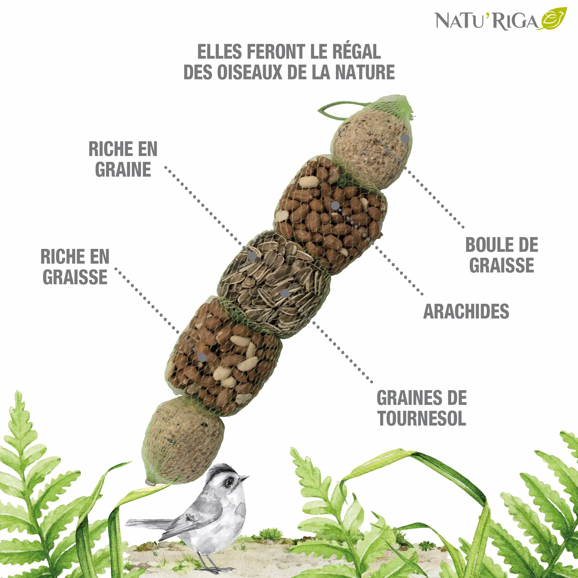 Riga NATU'RIGA Cocktail 3 Mix Graisses Et Céréales Nourriture Oiseaux Extérieur 400G