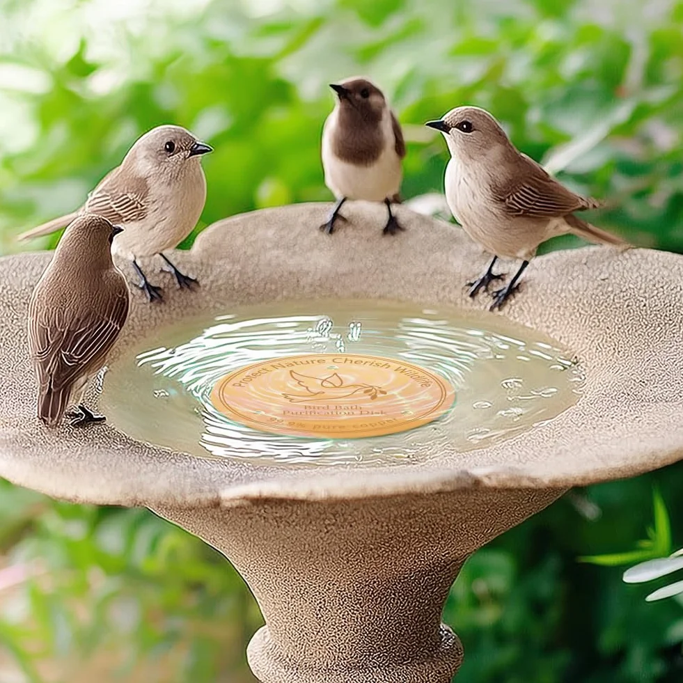 FINGERINSPIRE 4Pcs Disque de Baignoire pour Oiseaux en Cuivre Pur 99.9% 10cm Prévention des Algues