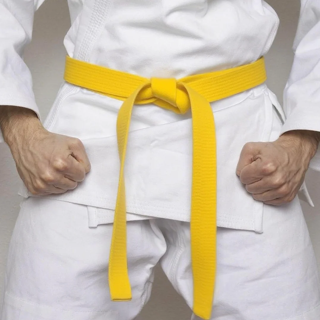Ceinture d'arts martiaux Judo Taekwondo Karaté professionnelle 240cm
