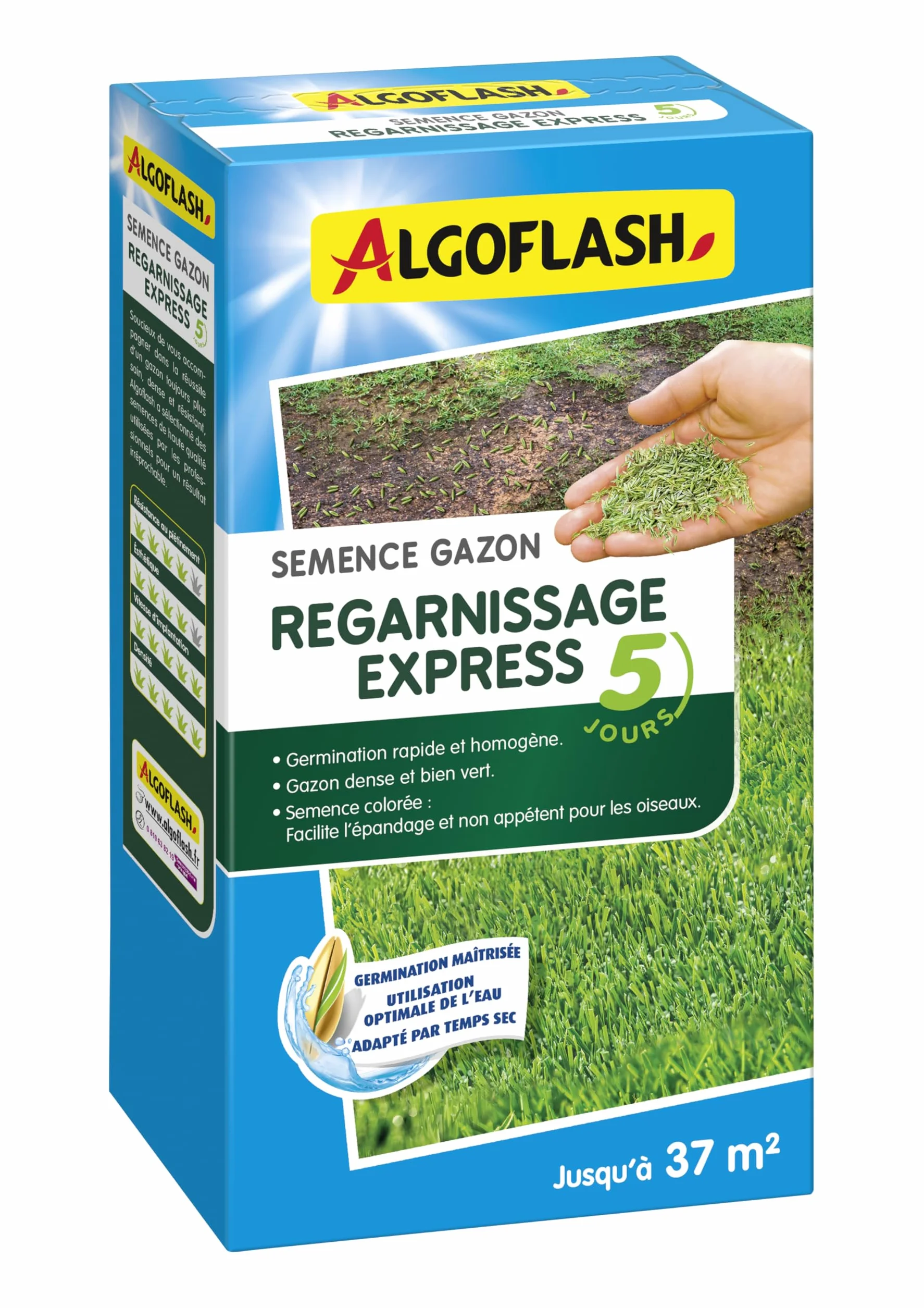 Algoflash Semence Gazon Regarnissage Express 5 Jours 800 g