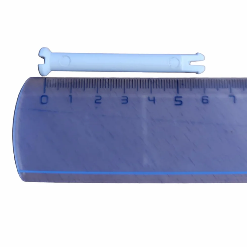Vis Plastique pour Projecteur NF Compatible Astral 4403014007
