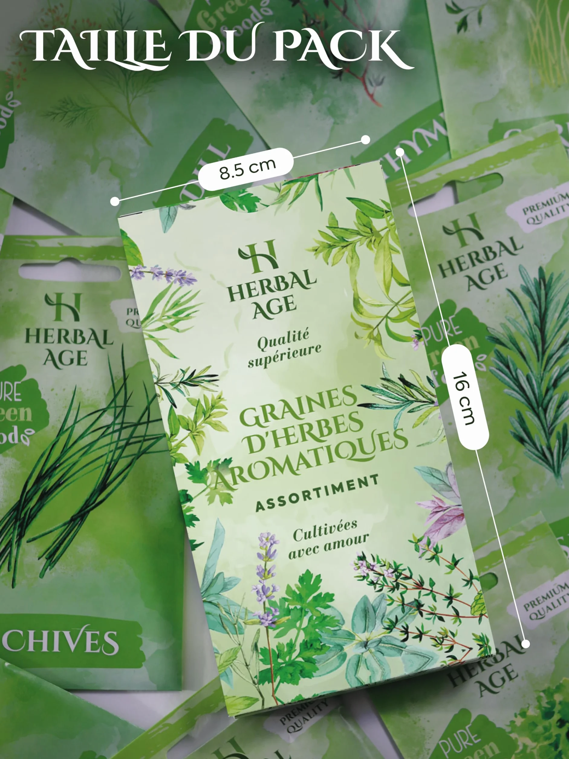 HERBAL AGE 12 Variétés de Plantes d'Herbes, 8700 Graines d'Herbes, Kit de Jardinieres Exterieur